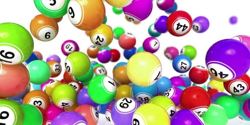 Lô ba càng là gì?