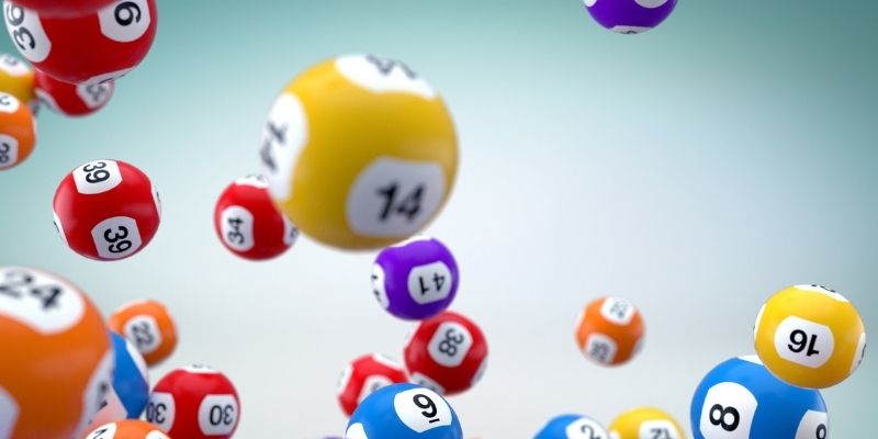 Ưu và nhược điểm của nuôi lô kép khung 3 ngày là gì?